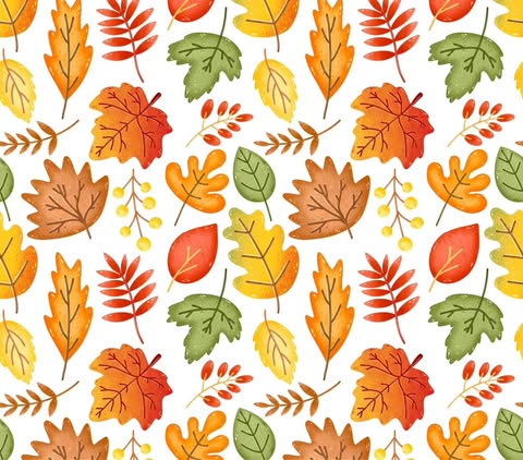 Leaves