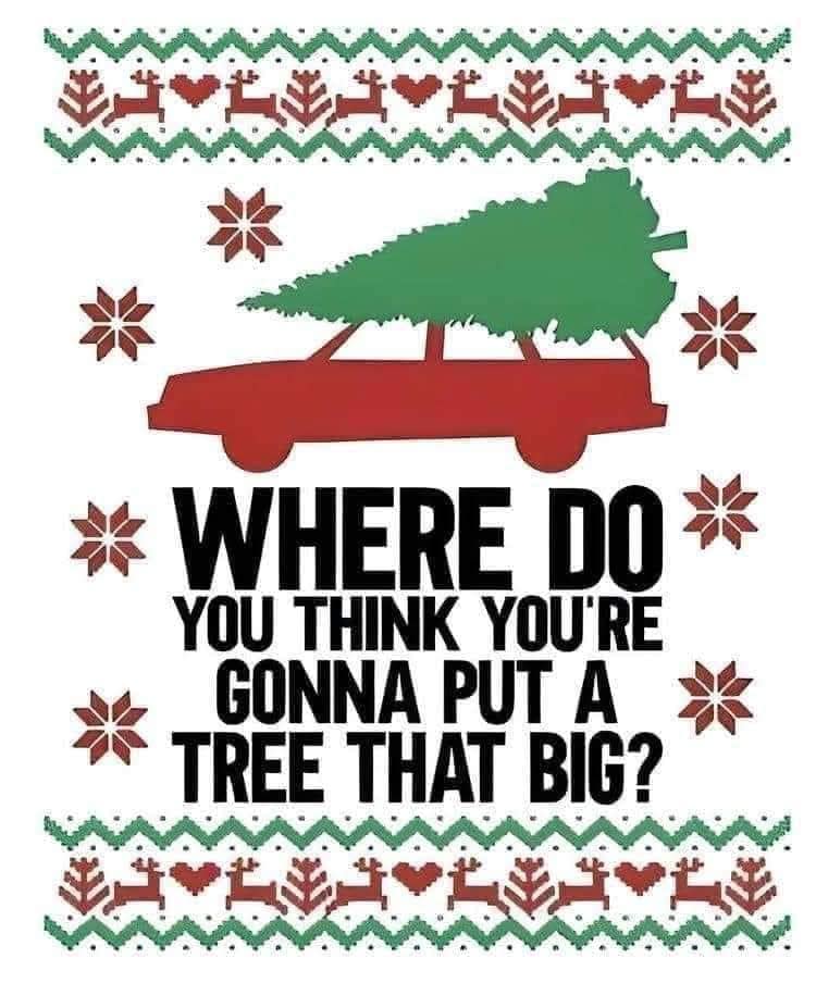 Put A Tree That Big