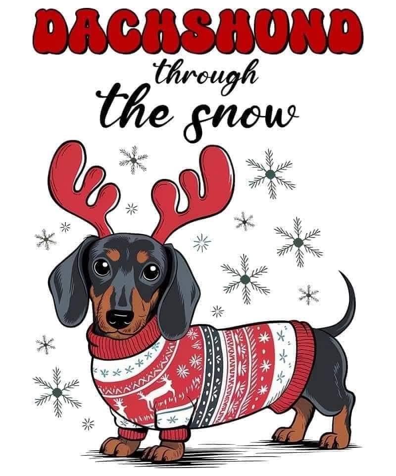 Dachshund Through The Snow