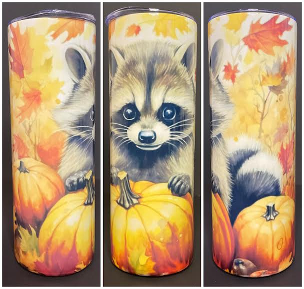 Raccoon And Pumpkins