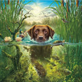 Hunting Dog
