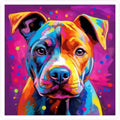 Pitbull