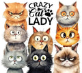 Crazy Cat Lady