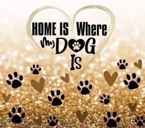 Home Is Where My Dog IS
