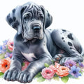 Great Dane