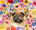 Pug