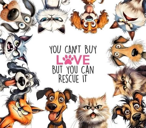 You Cant Buy Love