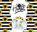 Stay Humble
