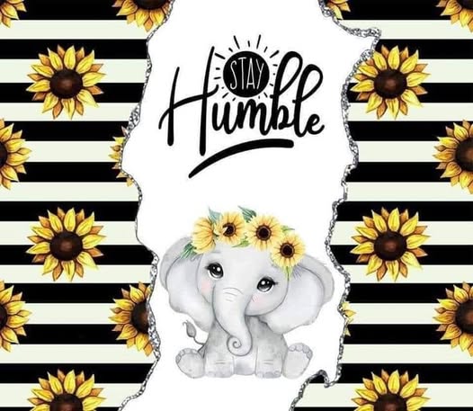 Stay Humble
