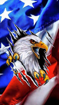 Flag And Eagle