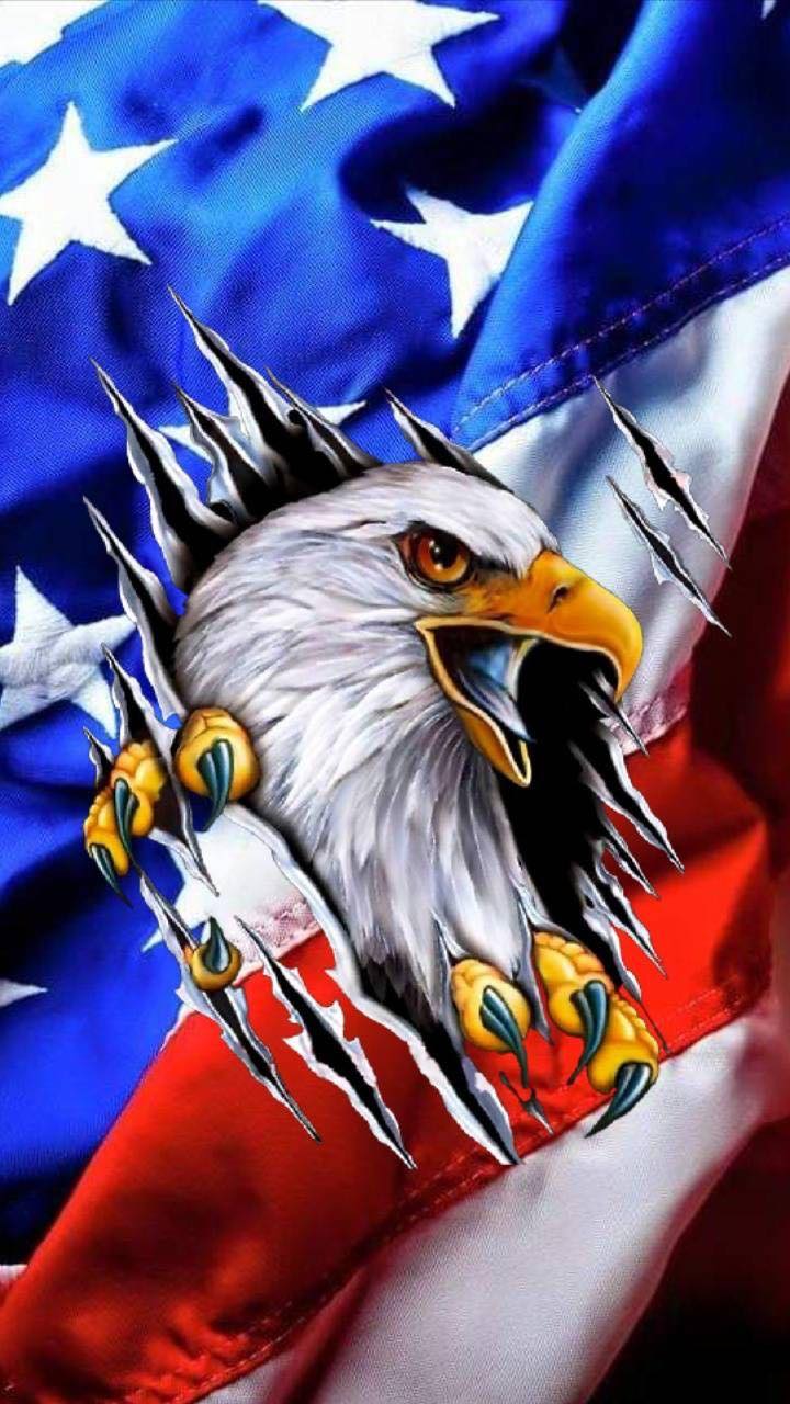 Flag And Eagle