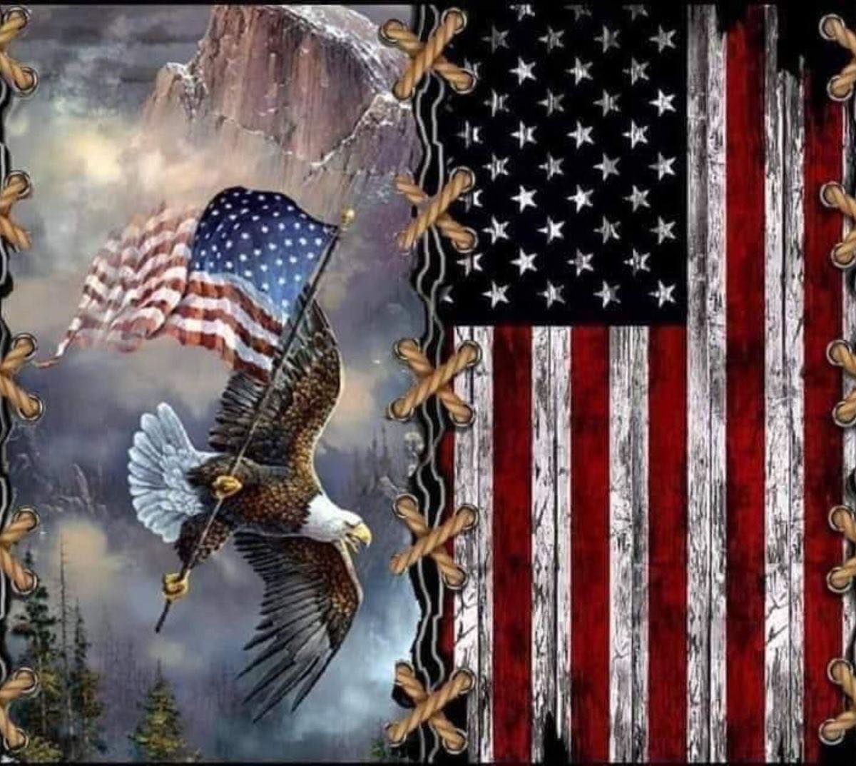 Flag And Eagle