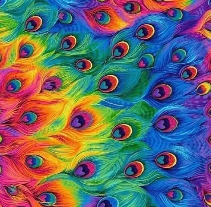 Peacock Feathers