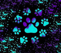 Blue And Purple Paws