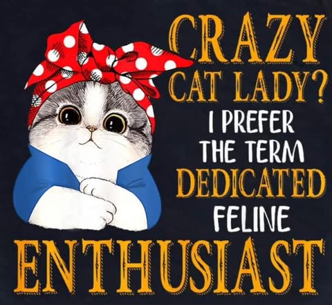 Crazy Cat Lady