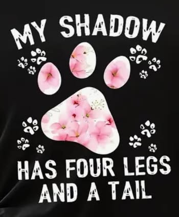 My Shadow