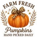 Farm Fresh Pumpkins