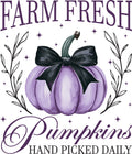 Farm Fresh Pumpkins