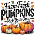 Farm Fresh Pumpkins