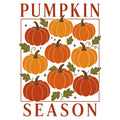Pumpkin Season