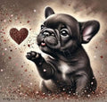 Boston Terrier