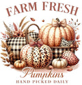 Farm Fresh Pumpkins