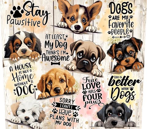 Dogs