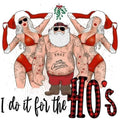 I Do It For The Ho's