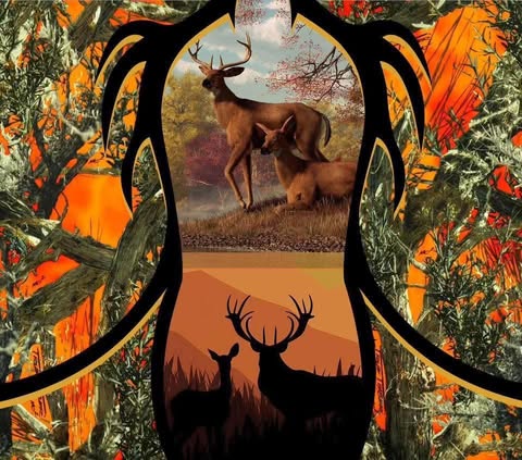 Deer