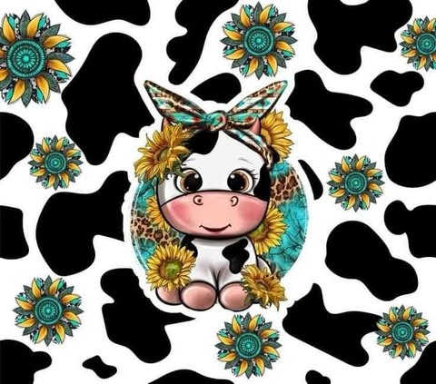 Black And White Cow