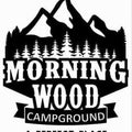 Morning Wood Hoodie