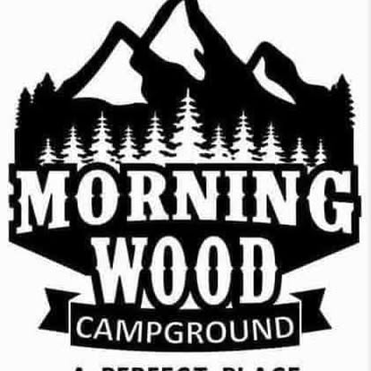 Morning Wood Sweater