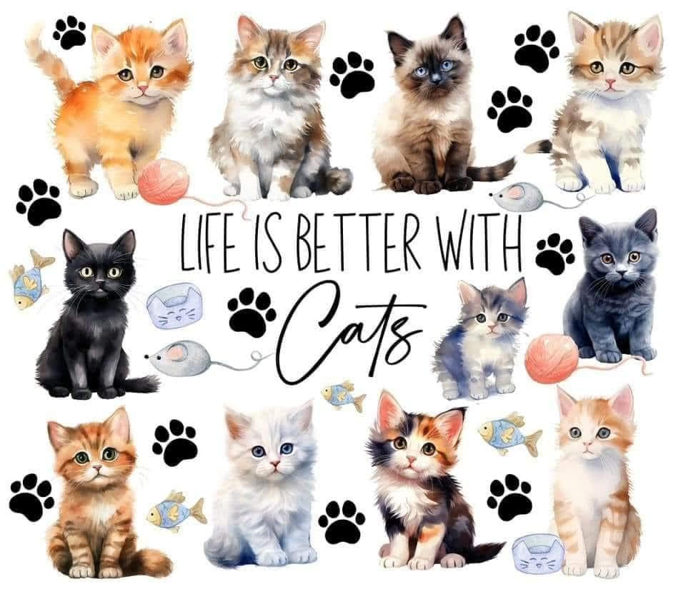 Life Is Better With Cats