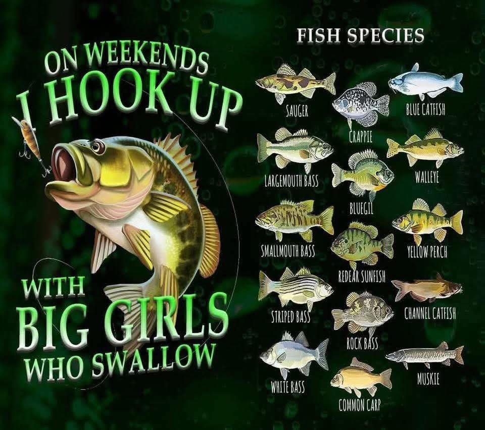 On Weekends I Hook Up